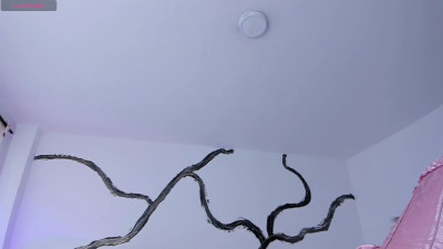 Watch HannaRhodes recorded live streams from Stripchat on 2025/08/10, Cam Archive