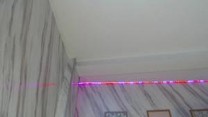 Watch madelen_b recorded live streams from Chaturbate on 2025/08/14, Cam Archive