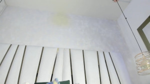 Watch violet_gray_ recorded live streams from Stripchat on 2025/08/27, Cam Archive