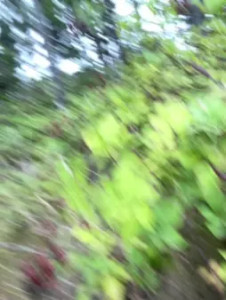 Watch SafeinouterSpace recorded live streams from Stripchat on 2025/09/01, Cam Archive