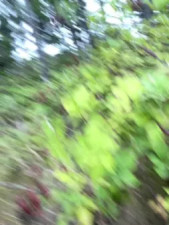 Watch SafeinouterSpace recorded live streams from Stripchat on 2025/09/01, Cam Archive