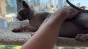 Watch graciemae_baexx recorded live streams from Stripchat on 2025/08/31, Cam Archive