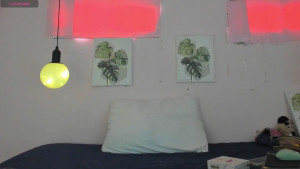 Watch lady_miss_ recorded live streams from Chaturbate on 2025/09/05, Cam Archive