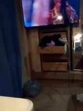 Watch AlabamaRose recorded live streams from Stripchat on 2025/09/06, Cam Archive