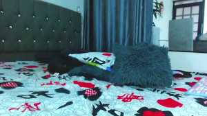 Watch Kenisha_Sweet recorded live streams from Stripchat on 2025/09/15, Cam Archive