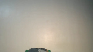 Watch wet_pussyy24 recorded live streams from Chaturbate on 2025/09/15, Cam Archive