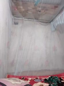 Watch BigBoobs186 recorded live streams from Stripchat on 2025/09/23, Cam Archive