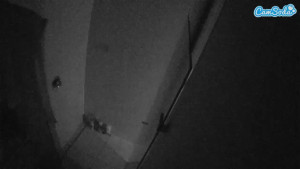 Watch voyeurcam-casa-salsa-bathroom-7 recorded live streams from Camsoda on 2025/10/03, Cam Archive