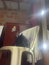 Watch RAKEL37 recorded live streams from Stripchat on 2025/10/28, Cam Archive