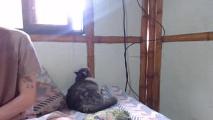 Watch miahells recorded live streams from Chaturbate on 2025/10/28, Cam Archive
