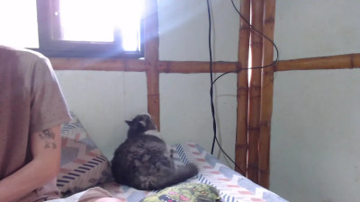 Watch miahells recorded live streams from Chaturbate on 2025/10/28, Cam Archive