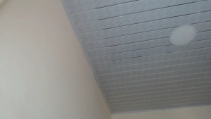 Watch kloe_boobs recorded live streams from Chaturbate on 2025/10/19, Cam Archive