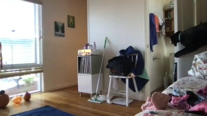 Watch HYPHYtype recorded live streams from Stripchat on 2025/10/20, Cam Archive