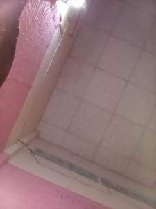 Cherry_pusy99