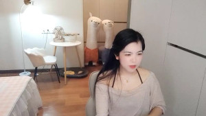 XiaoAnQi