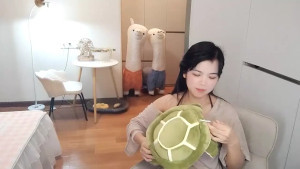 XiaoAnQi