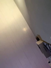 Watch VivianaNoire recorded live streams from Stripchat on 2025/11/25, Cam Archive