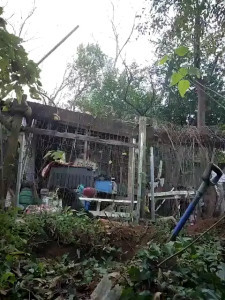 Watch Horny_hippie recorded live streams from Stripchat on 2025/11/25, Cam Archive