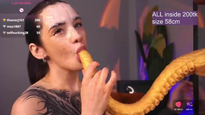 Watch evarabbit recorded live streams from Chaturbate on 2026/03/19, Cam Archive