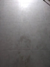 Watch Elsa_sweet recorded live streams from Stripchat on 2026/04/10, Cam Archive