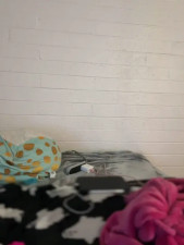 Watch foxy_ana13 recorded live streams from Stripchat on 2026/04/14, Cam Archive