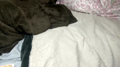 Watch hibye5729 recorded live streams from Chaturbate on 2026/05/19, Cam Archive