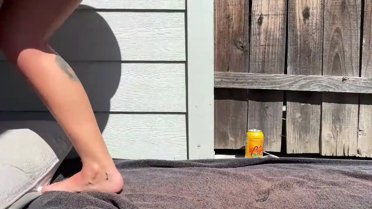 kittypurr79
