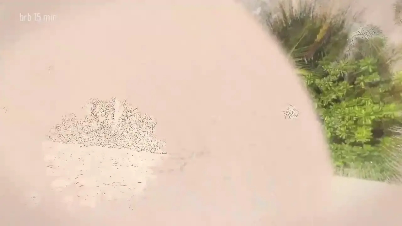 taanni_bc