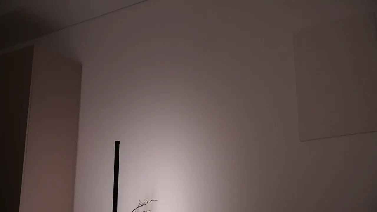 tokyo_blomm