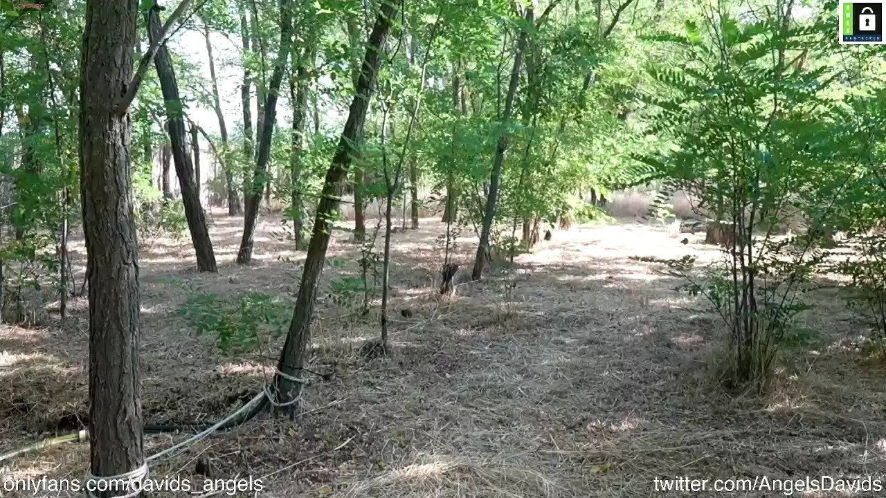 davids_angelsxxx