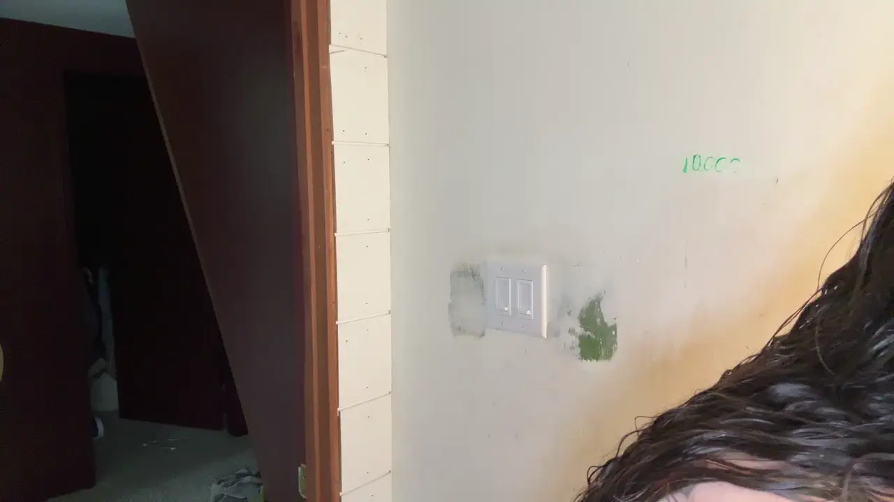 emersoncane
